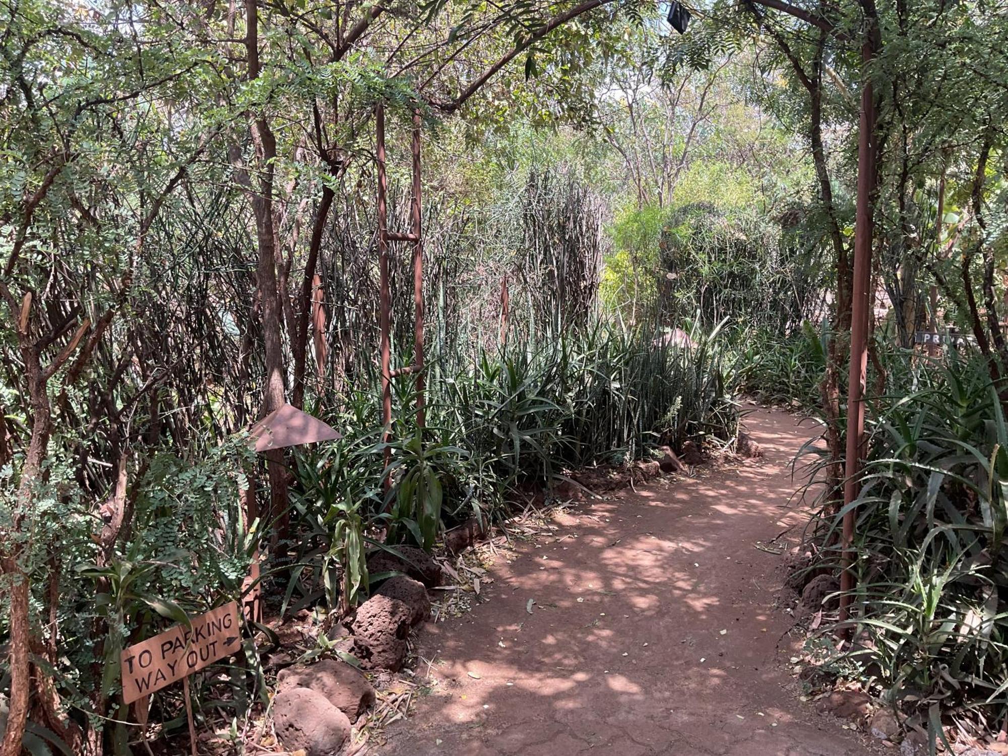 ホテル Ikweta Safari Camp Maua エクステリア 写真