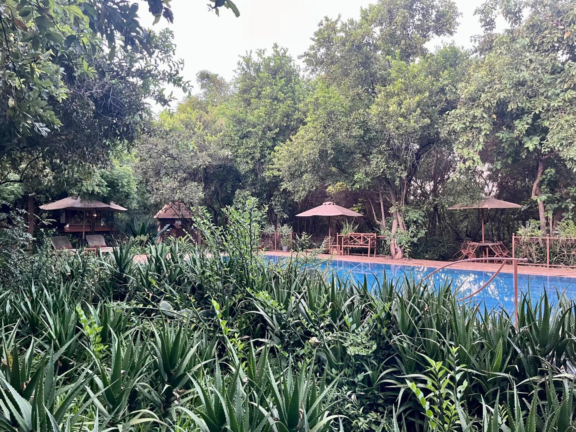 ホテル Ikweta Safari Camp Maua エクステリア 写真