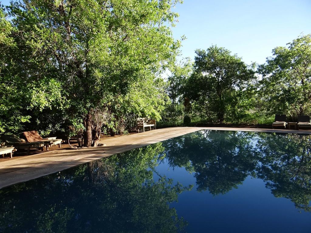 ホテル Ikweta Safari Camp Maua エクステリア 写真